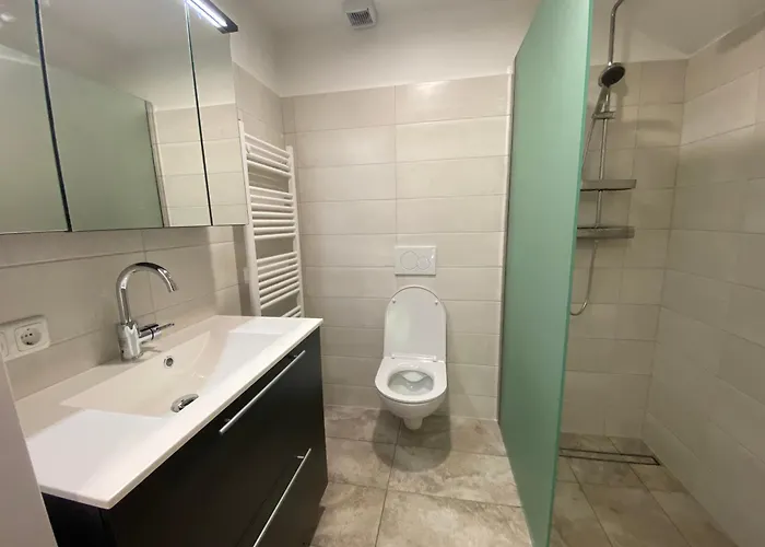 Auszeit Salzkammergut Διαμέρισμα Bad Ischl